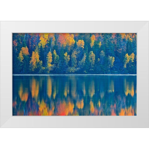 Canada-New Brunswick-Mactaquac Autumn forest reflections on St John River White Modern Wood Framed Art Print by Jaynes Gallery