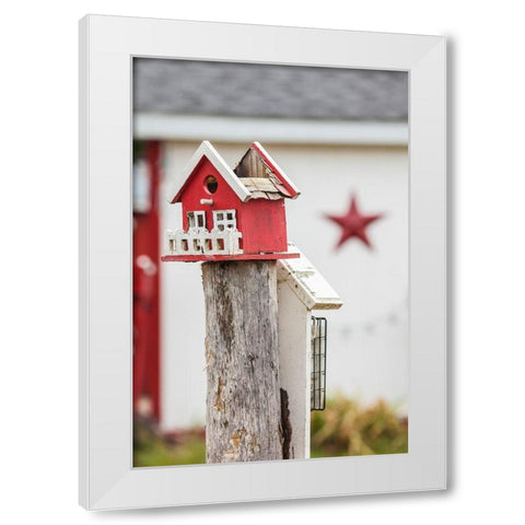 Canada-New Brunswick-Kennebecasis River Valley-Smiths Creek-birdhouses White Modern Wood Framed Art Print by Bibikow, Walter