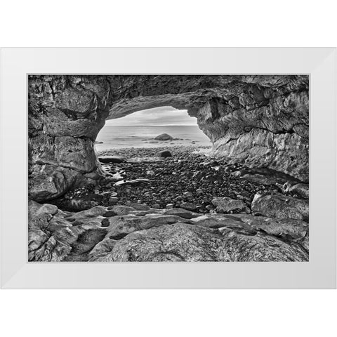 Canada-Newfoundland-The Arches Provincial Park-Rock cave on shore of Gulf of St Lawrence White Modern Wood Framed Art Print by Jaynes Gallery