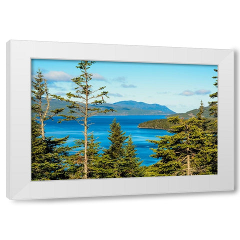 Gros Morne National Park-Wild Cove on Bonne Bay-Newfoundland-Canada White Modern Wood Framed Art Print by DeFreitas, Michael