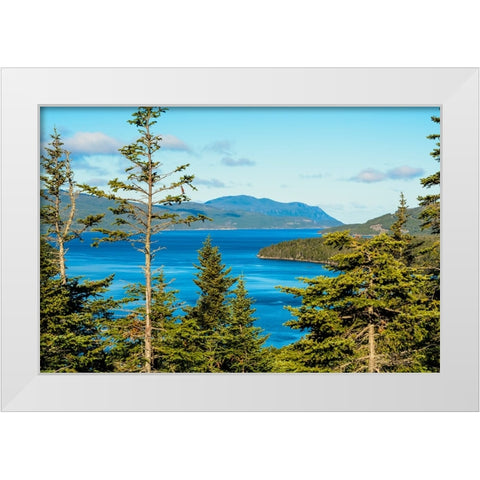 Gros Morne National Park-Wild Cove on Bonne Bay-Newfoundland-Canada White Modern Wood Framed Art Print by DeFreitas, Michael