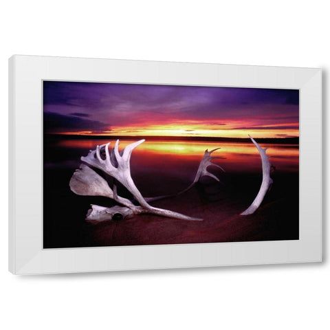 Canada, Whitefish Lake Sunset on caribou antlers White Modern Wood Framed Art Print by Welling, Dave