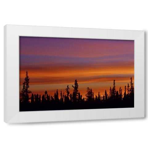 Canada, Ft Resolution Sunrise over forest White Modern Wood Framed Art Print by Grandmaison, Mike
