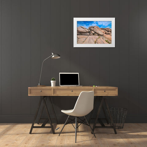 Canada-Nova Scotia-Cape Breton Island Rocky shoreline along Cabot Strait White Modern Wood Framed Art Print by Jaynes Gallery