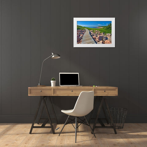 Canada-Nova Scotia-Cape Breton Island Wooden walkway along rocky shoreline White Modern Wood Framed Art Print by Jaynes Gallery