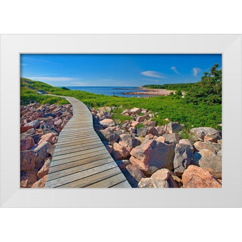 Canada-Nova Scotia-Cape Breton Island Wooden walkway along rocky shoreline White Modern Wood Framed Art Print by Jaynes Gallery
