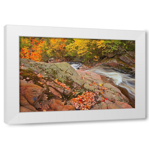 Canada-Nova Scotia Mary-Anne Falls and forest in autumn foliage White Modern Wood Framed Art Print by Jaynes Gallery