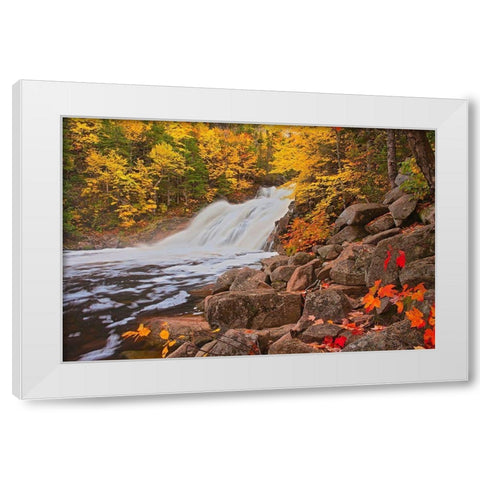 Canada-Nova Scotia Mary-Anne Falls and forest in autumn foliage White Modern Wood Framed Art Print by Jaynes Gallery