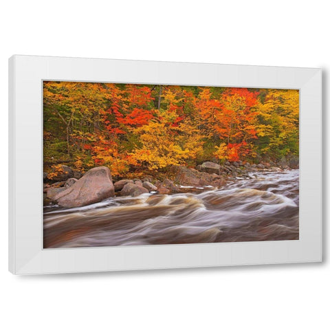 Canada-Nova Scotia Mary-Anne Falls and forest in autumn foliage White Modern Wood Framed Art Print by Jaynes Gallery