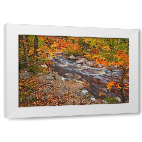 Canada-Nova Scotia Mary-Anne Falls and forest in autumn foliage White Modern Wood Framed Art Print by Jaynes Gallery
