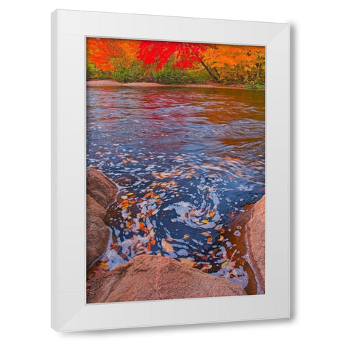 Canada-Nova Scotia-Cape Breton Island North Aspy River and forest in autumn White Modern Wood Framed Art Print by Jaynes Gallery