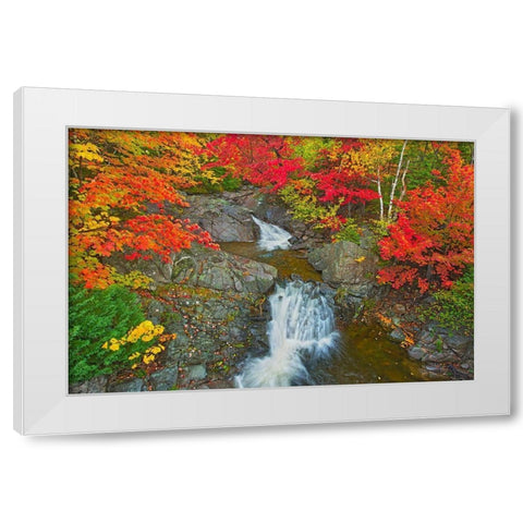 Canada-Nova Scotia-Cape Breton Island Morrison Brook and forest in autumn foliage White Modern Wood Framed Art Print by Jaynes Gallery