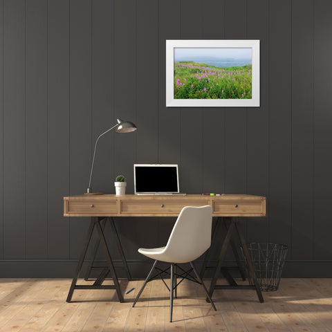Canada-Nova Scotia-Bay of Fundy Fireweed and fog on bay White Modern Wood Framed Art Print by Jaynes Gallery