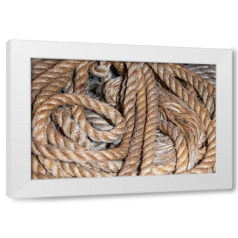 Coiled natural fiber fishing rope used in Nova Scotia fishing vessels White Modern Wood Framed Art Print by Ostrowitz, Mallorie