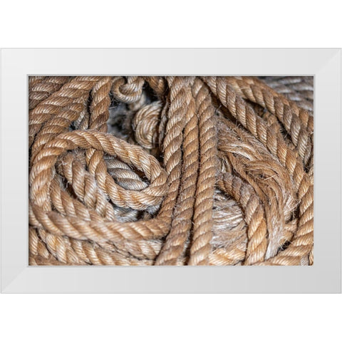 Coiled natural fiber fishing rope used in Nova Scotia fishing vessels White Modern Wood Framed Art Print by Ostrowitz, Mallorie