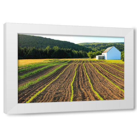 Canada-Nova Scotia-Cape Breton-Miller Farm-Margaree White Modern Wood Framed Art Print by Wall, Patrick J.