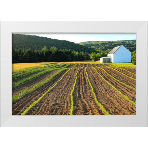 Canada-Nova Scotia-Cape Breton-Miller Farm-Margaree White Modern Wood Framed Art Print by Wall, Patrick J.