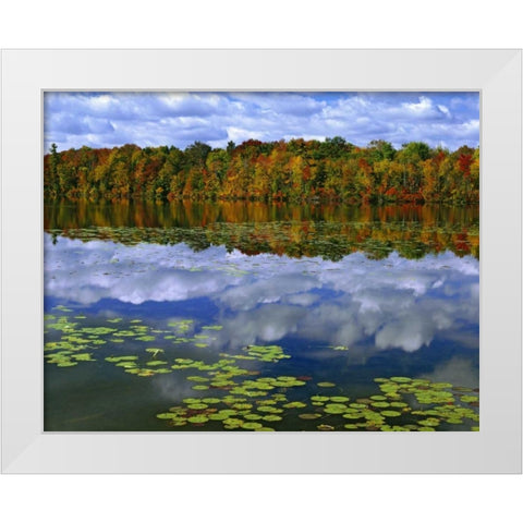 Canada, Ontario Park Haven Lake in autumn White Modern Wood Framed Art Print by Flaherty, Dennis
