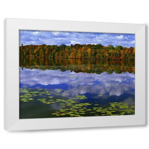 Canada, Ontario Autumn around Park Haven Lake White Modern Wood Framed Art Print by Flaherty, Dennis