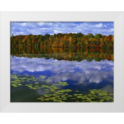 Canada, Ontario Autumn around Park Haven Lake White Modern Wood Framed Art Print by Flaherty, Dennis