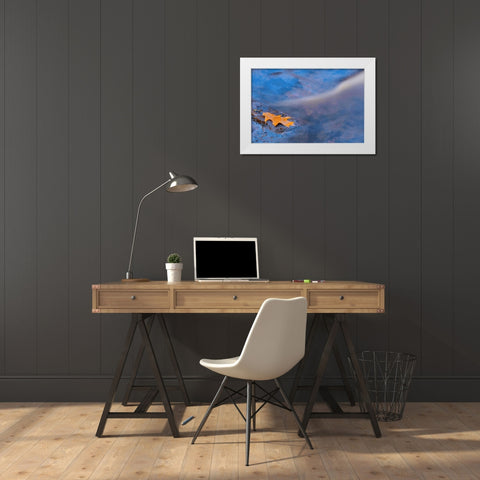 Canada, Ontario, Rosseau River, Oak leaf on rock White Modern Wood Framed Art Print by Grandmaison, Mike
