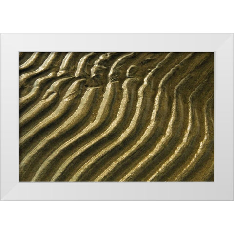 Canada, Ontario Ripples in sand of Georgian Bay White Modern Wood Framed Art Print by Grandmaison, Mike