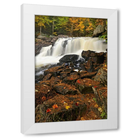 Canada, Emsdale Maple leaves by Magnetewan River White Modern Wood Framed Art Print by Grandmaison, Mike