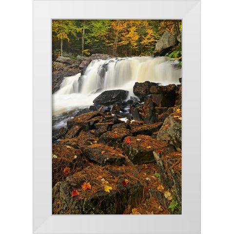 Canada, Emsdale Maple leaves by Magnetewan River White Modern Wood Framed Art Print by Grandmaison, Mike
