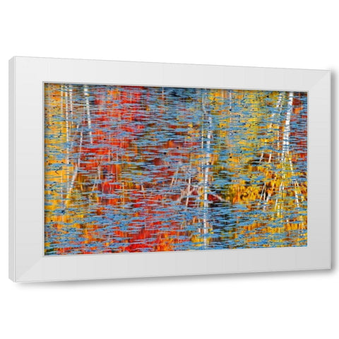 Canada, Ontario, Minden Autumn reflects in pond White Modern Wood Framed Art Print by Grandmaison, Mike