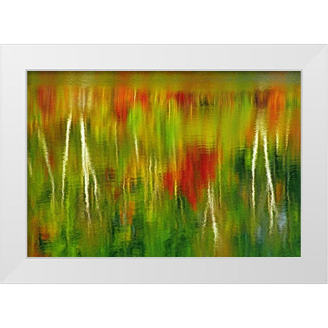 Canada Fall reflection in St Poithier Lake White Modern Wood Framed Art Print by Grandmaison, Mike