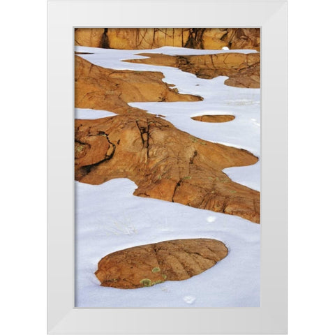 Canada, Killarney PP Animal tracks in snow White Modern Wood Framed Art Print by Grandmaison, Mike