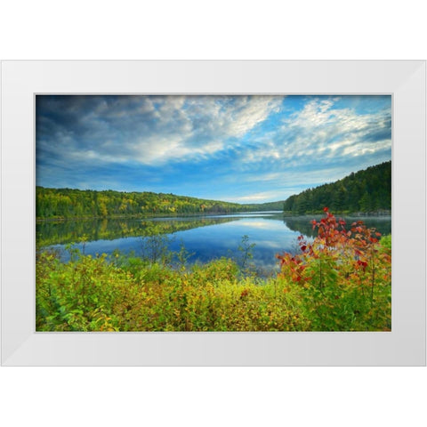 Canada, Algonquin PP Landscape of Costello Lake White Modern Wood Framed Art Print by Grandmaison, Mike