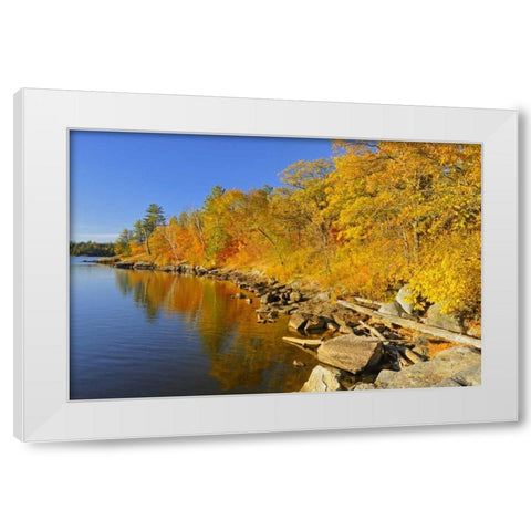 Canada, Ontario, Autumn at Lake of the Woods White Modern Wood Framed Art Print by Grandmaison, Mike