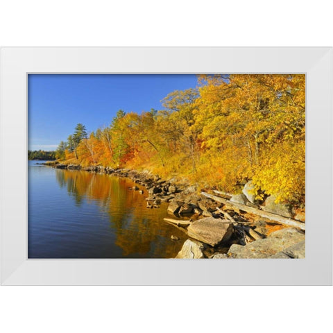 Canada, Ontario, Autumn at Lake of the Woods White Modern Wood Framed Art Print by Grandmaison, Mike