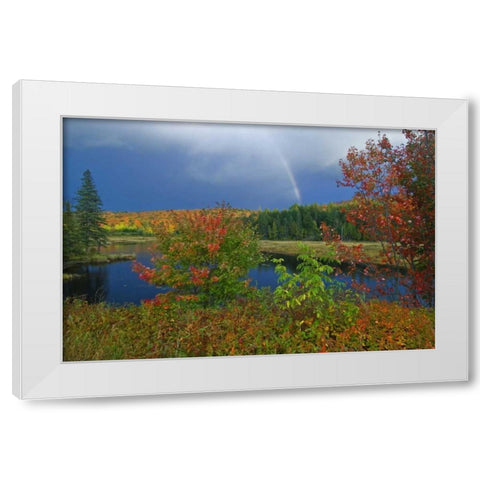 Canada, Ontario Rainbow and maples in autumn White Modern Wood Framed Art Print by Grandmaison, Mike