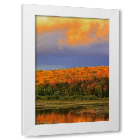 Canada, Ontario, Oxtongue Lake Sky and forest White Modern Wood Framed Art Print by Grandmaison, Mike