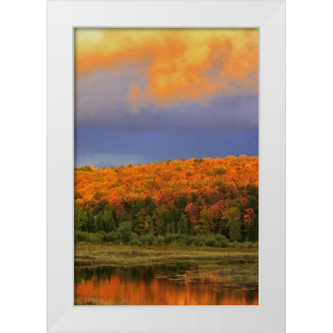 Canada, Ontario, Oxtongue Lake Sky and forest White Modern Wood Framed Art Print by Grandmaison, Mike