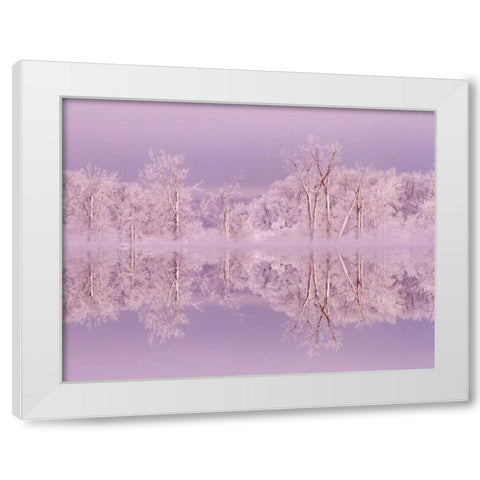 Canada, Ottawa Frosted trees by Shirleys Bay White Modern Wood Framed Art Print by Young, Bill