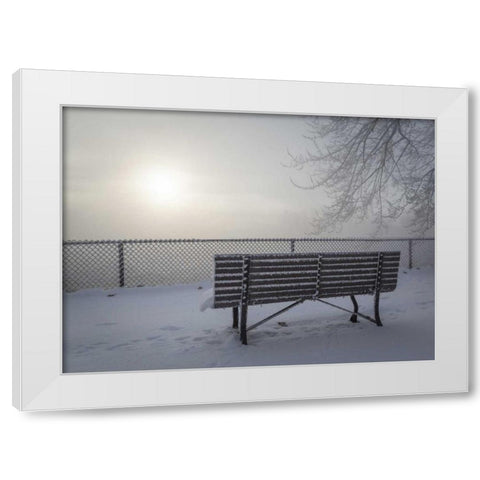 Canada, Ottawa Fog-shrouded winter scene White Modern Wood Framed Art Print by Young, Bill
