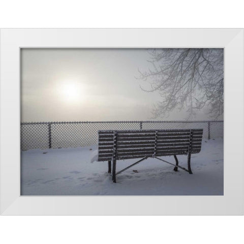 Canada, Ottawa Fog-shrouded winter scene White Modern Wood Framed Art Print by Young, Bill