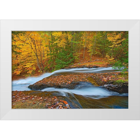 Canada-Ontario-Ullswater Waterfall at Hatchery Falls on the Skeleton River White Modern Wood Framed Art Print by Jaynes Gallery