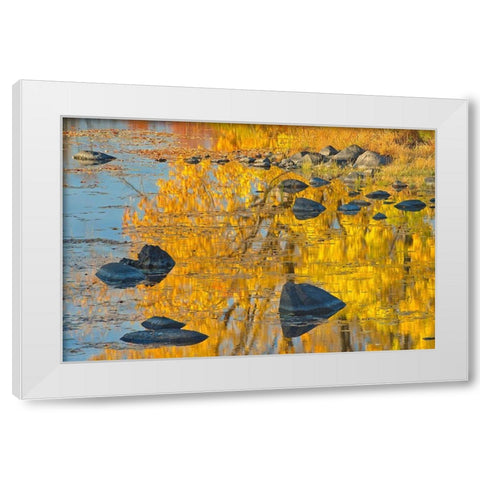 Canada-Ontario-Whitefish Autumn colors reflect in Vermilion River White Modern Wood Framed Art Print by Jaynes Gallery