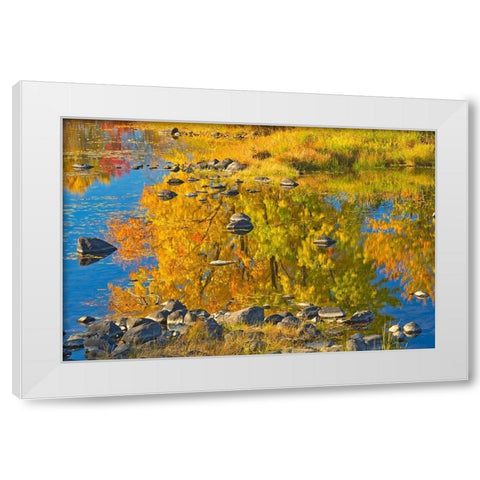 Canada-Ontario-Whitefish Autumn colors reflect in Vermilion River White Modern Wood Framed Art Print by Jaynes Gallery