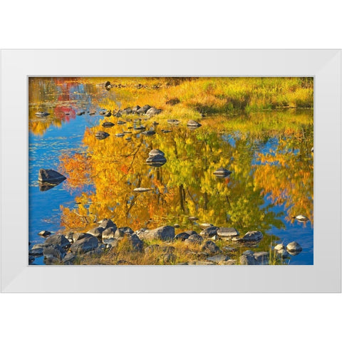 Canada-Ontario-Whitefish Autumn colors reflect in Vermilion River White Modern Wood Framed Art Print by Jaynes Gallery