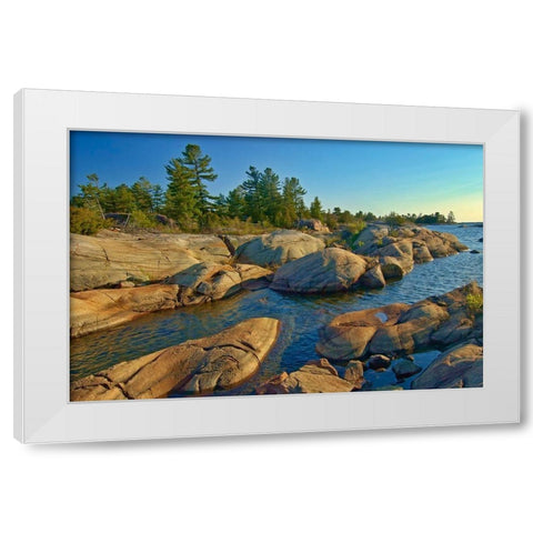 Canada-Ontario-Honey Harbour Trees on Precambrian shield rock White Modern Wood Framed Art Print by Jaynes Gallery