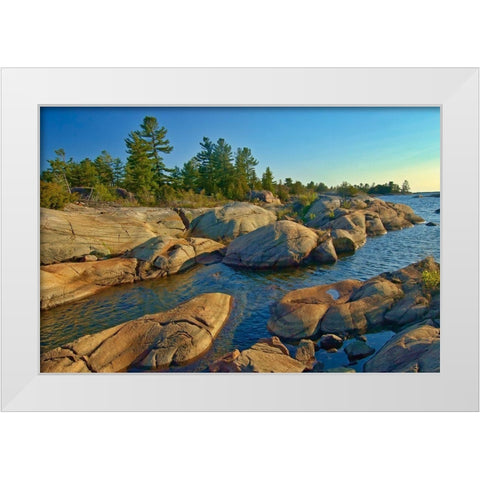 Canada-Ontario-Honey Harbour Trees on Precambrian shield rock White Modern Wood Framed Art Print by Jaynes Gallery