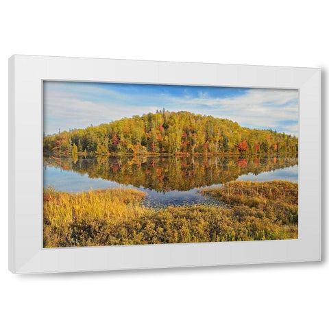 Canada-Ontario-Goulais River Forest reflection in lake White Modern Wood Framed Art Print by Jaynes Gallery