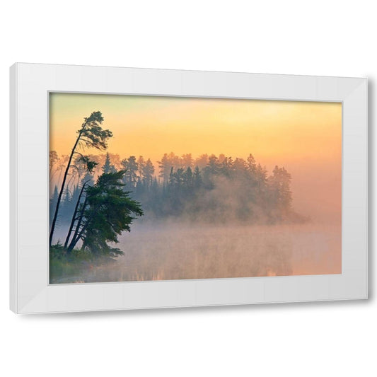 Perspective Image