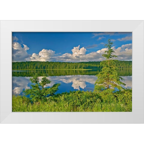 Canada-Ontario Clouds reflected in Trail Lake White Modern Wood Framed Art Print by Jaynes Gallery