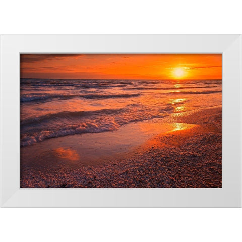 Canada-Ontario-Sandbanks Provincial Park-Waves on Lake Ontario beach at sunset White Modern Wood Framed Art Print by Jaynes Gallery